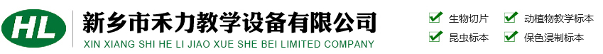 大流量水濾芯,除塵濾筒,液壓油濾芯,空壓機濾芯,不銹鋼濾芯